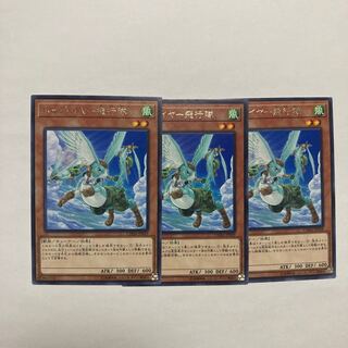 ホップ・イヤー飛行隊 レア JP029