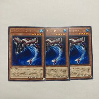 Buzzsaw Shark Rare JP019