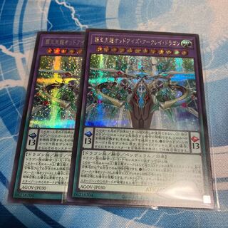 Haou Tenryu Odd Eyes Arkray Dragon Secret