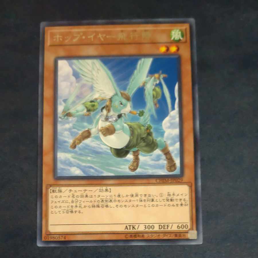 ホップ・イヤー飛行隊 レア JP029 【木林堂】