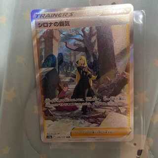 [extra] Cynthia's Highness SAR