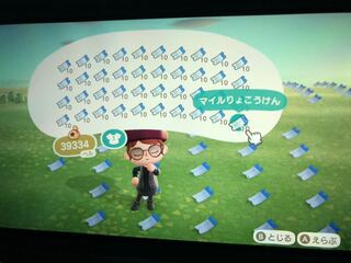 マイル旅行券 どうぶつの森