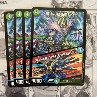 運命の親衛隊シウバ｜｢その運命、我らもそれに従おう｣