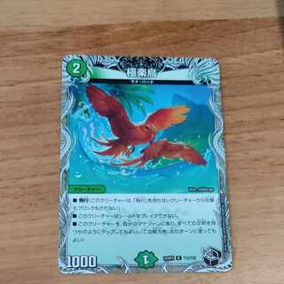 極楽鳥　4枚セット 2025年最新】極楽鳥 4版の人気アイテム - メルカリ