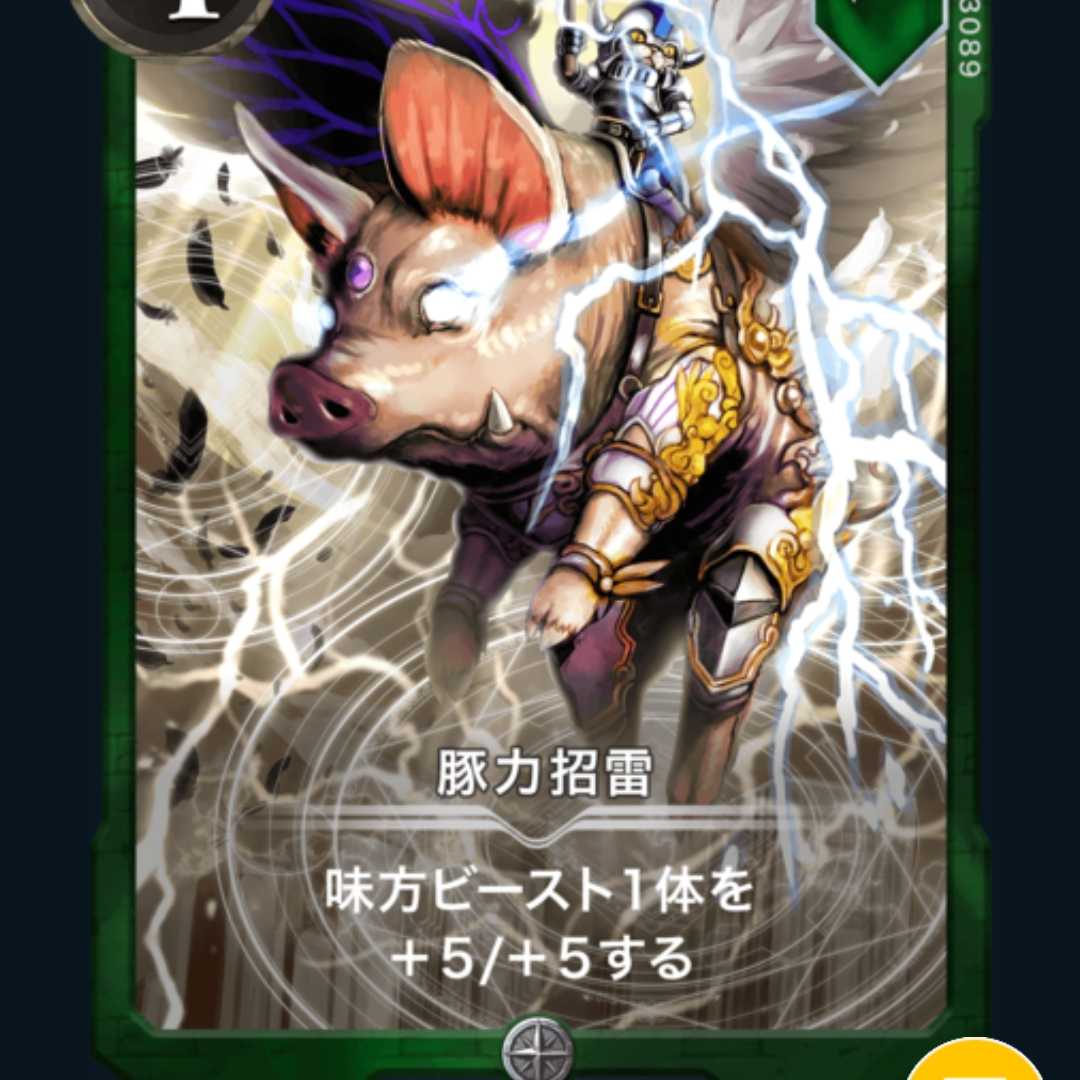 【2枚組】豚力招雷