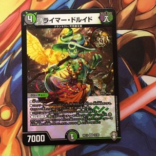 ライマードルイド