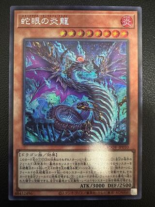 蛇眼の炎龍 シークレットレア HP010