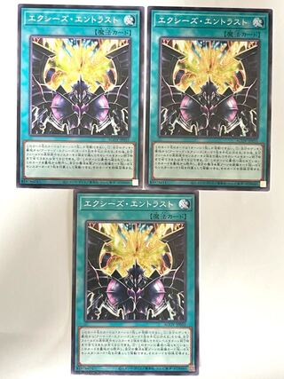 Exes Entrust [Normal] JP051