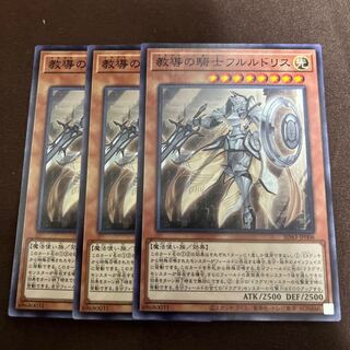 教導の騎士フルルドリス