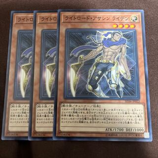 Raiden, Hand of the Lightsworn