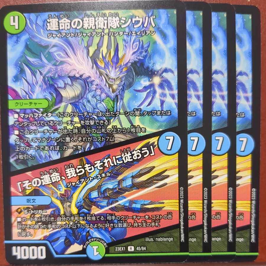 dvb set discount exclusively for Mr. Yucai SS Shiba, the SS of Fate / That Fate, We Shall Follow It