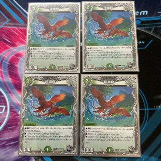 極楽鳥(黒トレジャー) R T12/T20