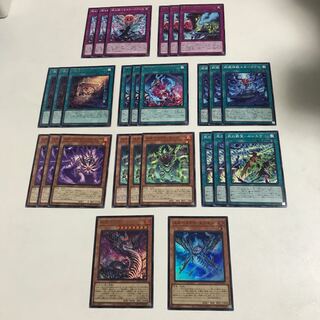 スネークアイ　罪宝　デッキパーツ　キラ2枚　全26枚