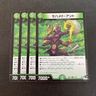 モハメド・アント R 24/74