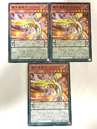 Lightwurm, the High King's眷竜[Normal]JP002