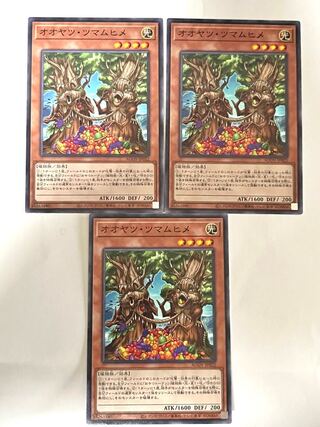 オオヤツ・ツマムヒメ【ノーマル】JP022