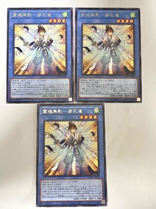 霊魂鳥影-彦孔雀【レア】JP029