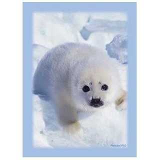 スリーブ「北の海で見上げる瞳」60枚入