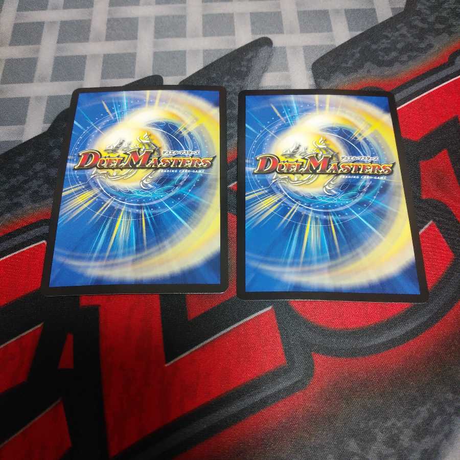 天災デドダム2枚