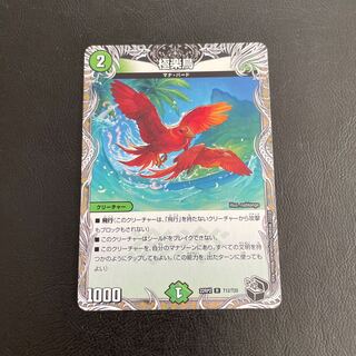 Birds of Paradise (Black Treasure) R T12/T20