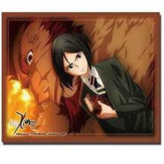 スリーブ Vol.203 Fate/Zero『ウェイバー&ライダー』60枚入