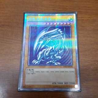 青眼の白龍　韓国