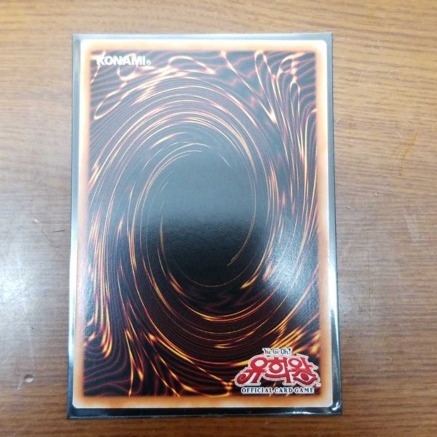 青眼の白龍　韓国