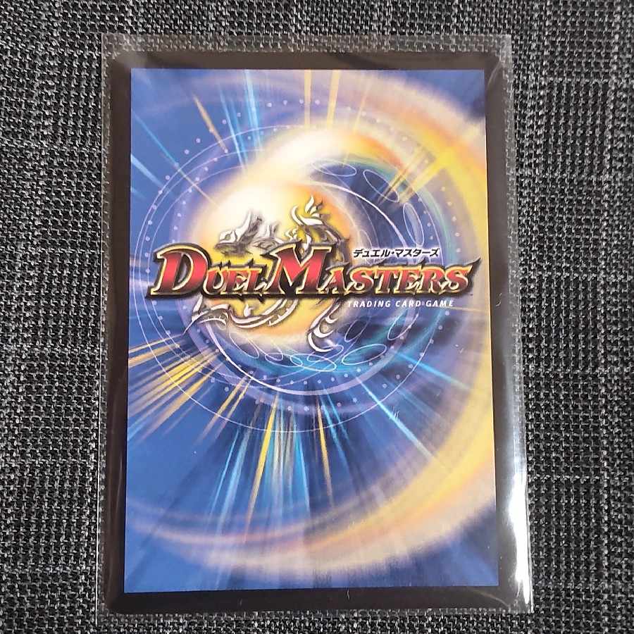 天命龍装 ホーリーエンド/ナウ・オア・ネバー SR S1/S12