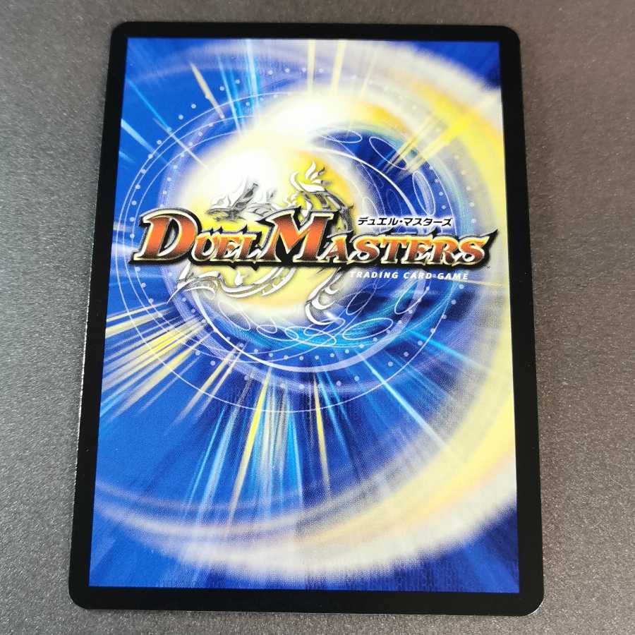 2018年様専用　界王類絶対目 ワルド・ブラッキオ