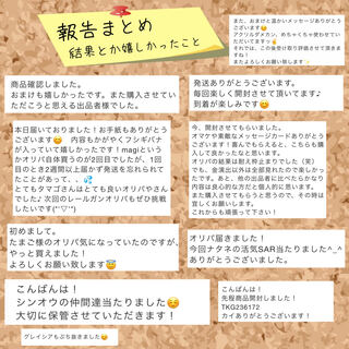 【オリパ】結果報告