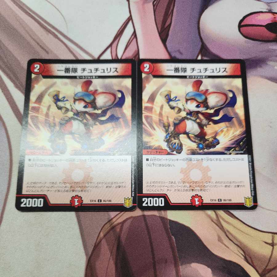 First team Tutu Squirrel C 95/100