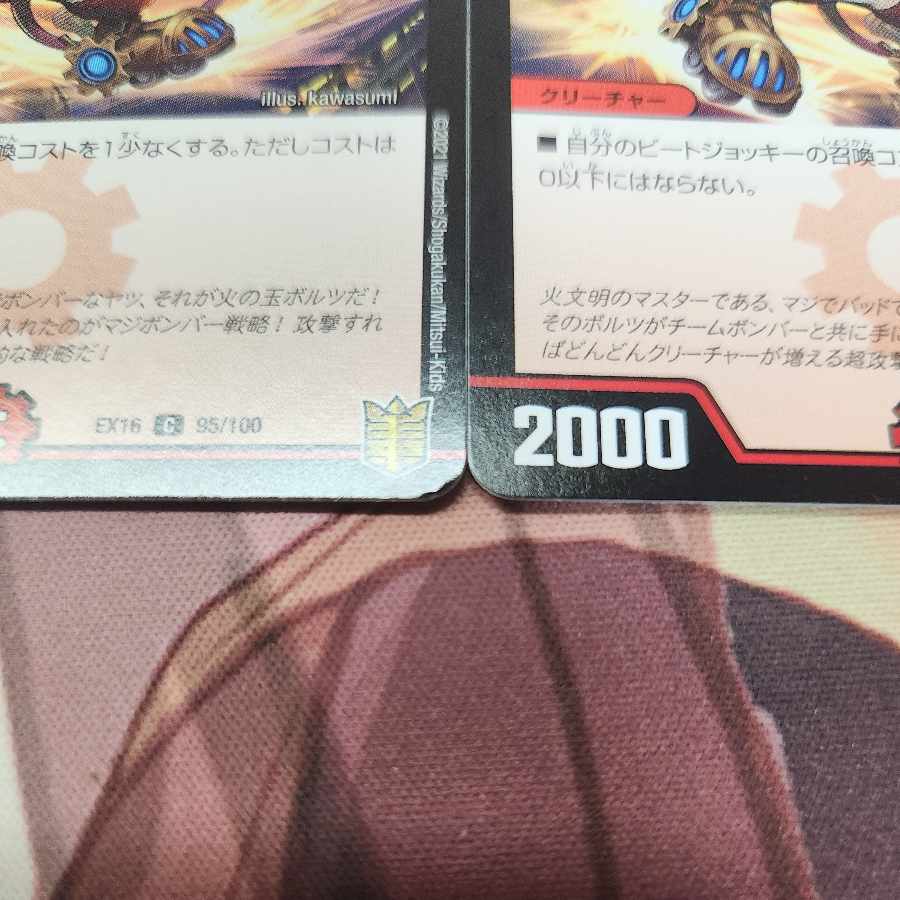 First team Tutu Squirrel C 95/100