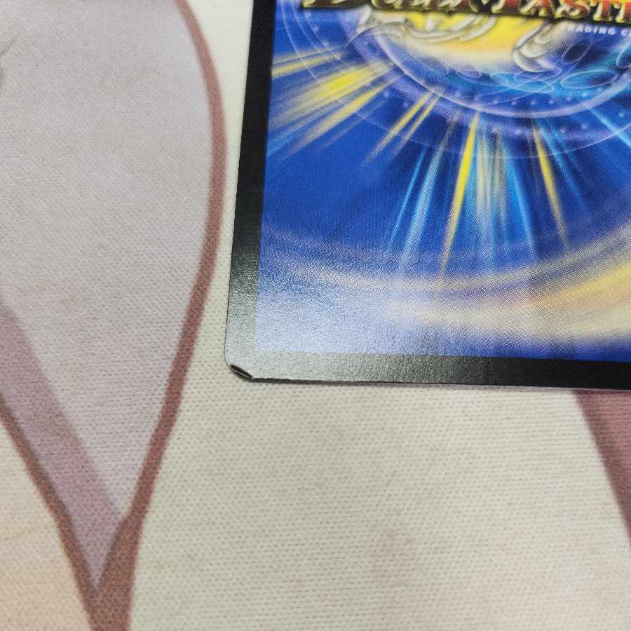 First team Tutu Squirrel C 95/100