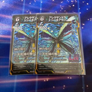 蟲神器　アレクサンドラトリバネアゲハ　2枚　LR