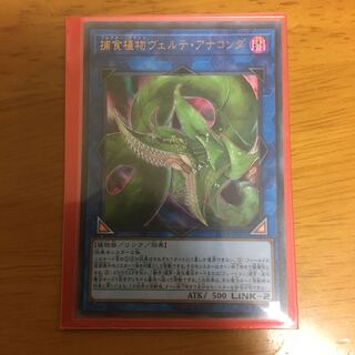 捕食植物 ヴェルテアナコンダ