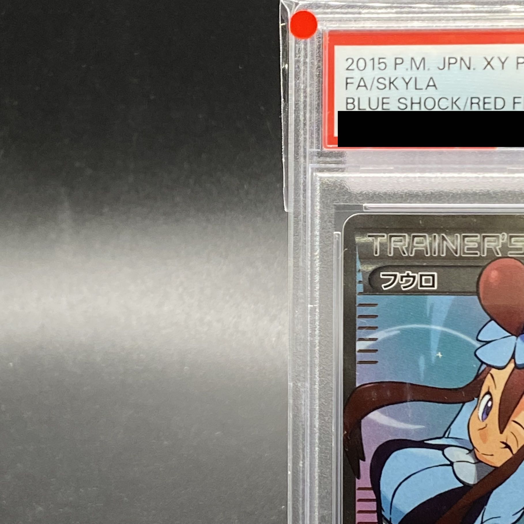 【PSA10】フウロ PROMO 164/XY-P