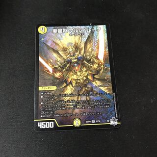 新星姫 マルシドループ SR S2/S8