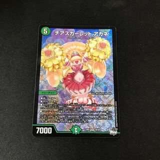 Cheer Scarlet Whitney SR S8/S8