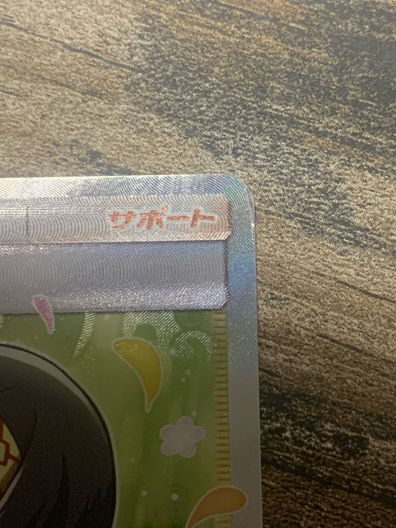 Erika's Hospitality SR 107/095