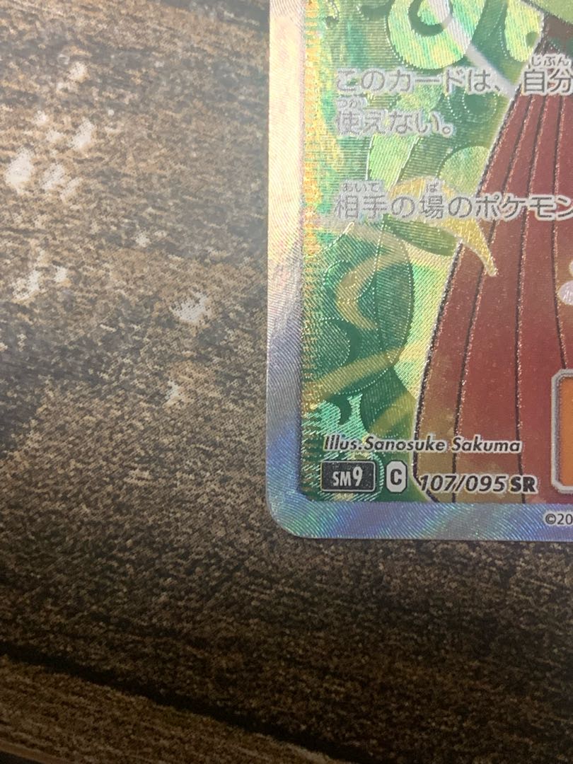 Erika's Hospitality SR 107/095