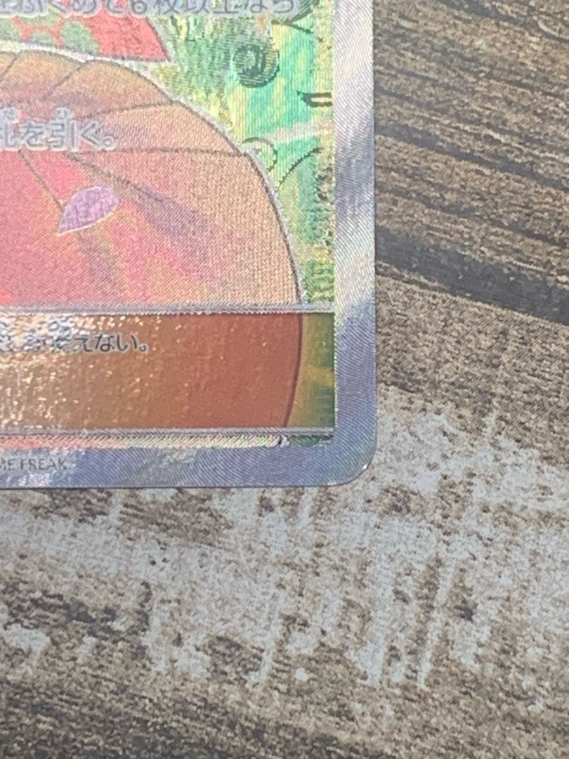 Erika's Hospitality SR 107/095