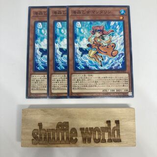 海晶乙女マンダリン 1434