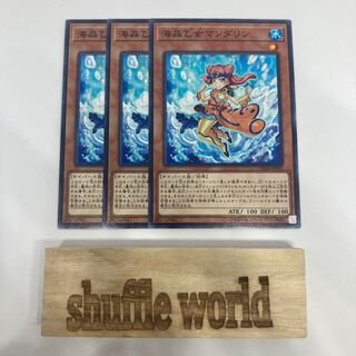 海晶乙女マンダリン 1435