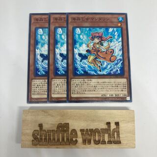 海晶乙女マンダリン 1436