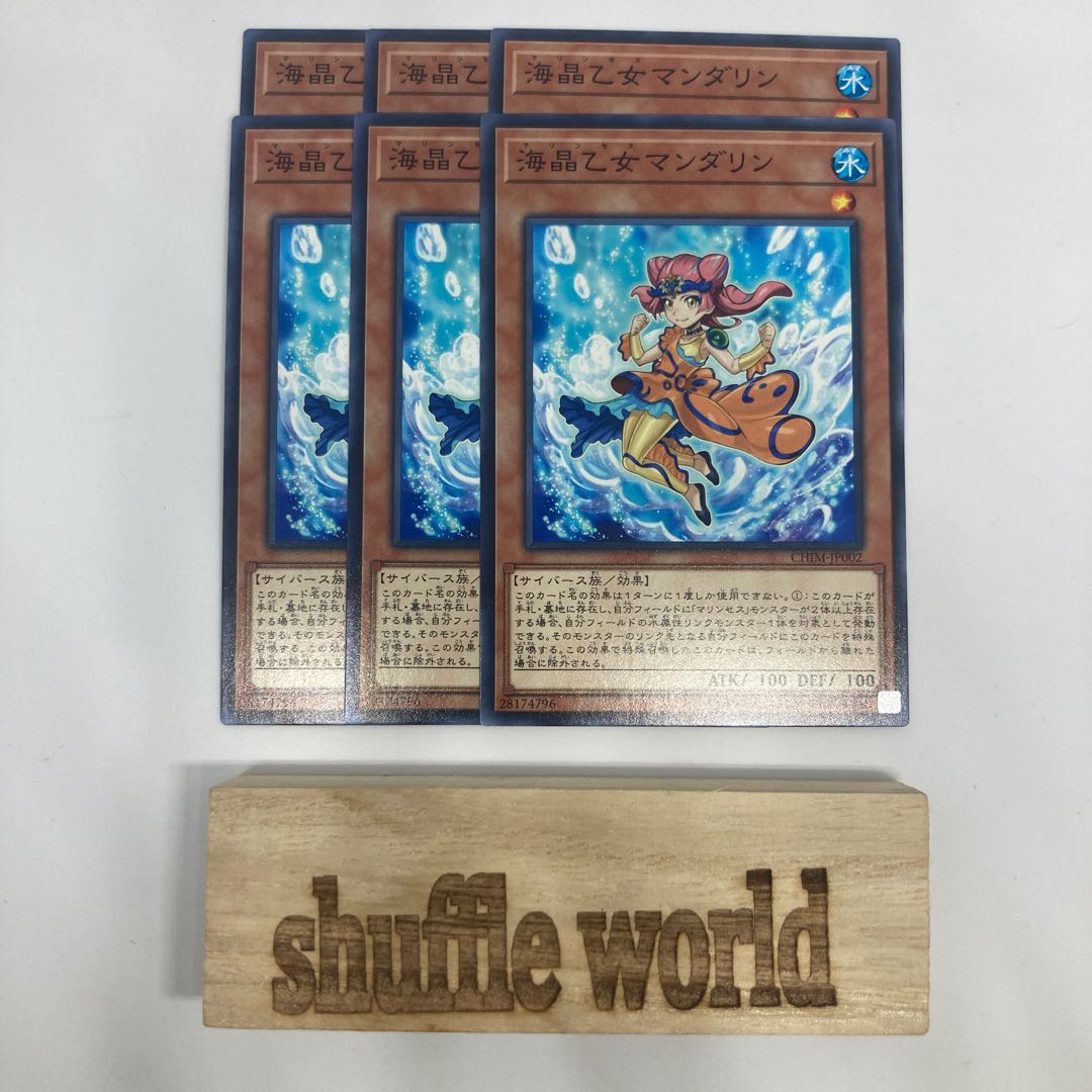 海晶乙女マンダリン 1437