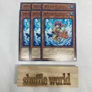 海晶乙女マンダリン 1437