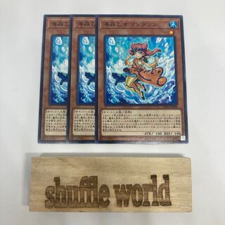 海晶乙女マンダリン  1440