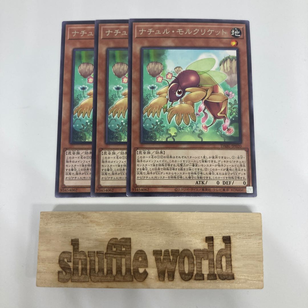 Natur Mole Cricket 1447