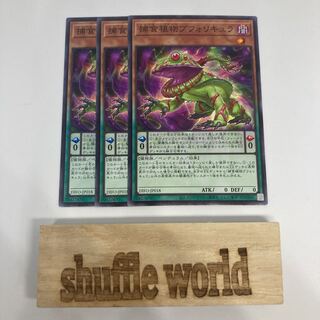 Prey Upon Plant Bufordicure 1476