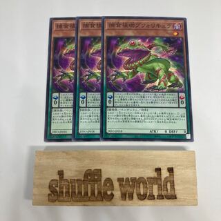 Prey Upon Plant Bufordicure 1477